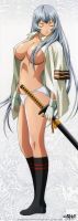 Ikki_tousen_20110828_178.jpg